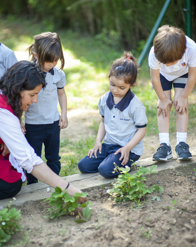 Together in the way of their learning 