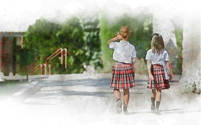 Inclusive School